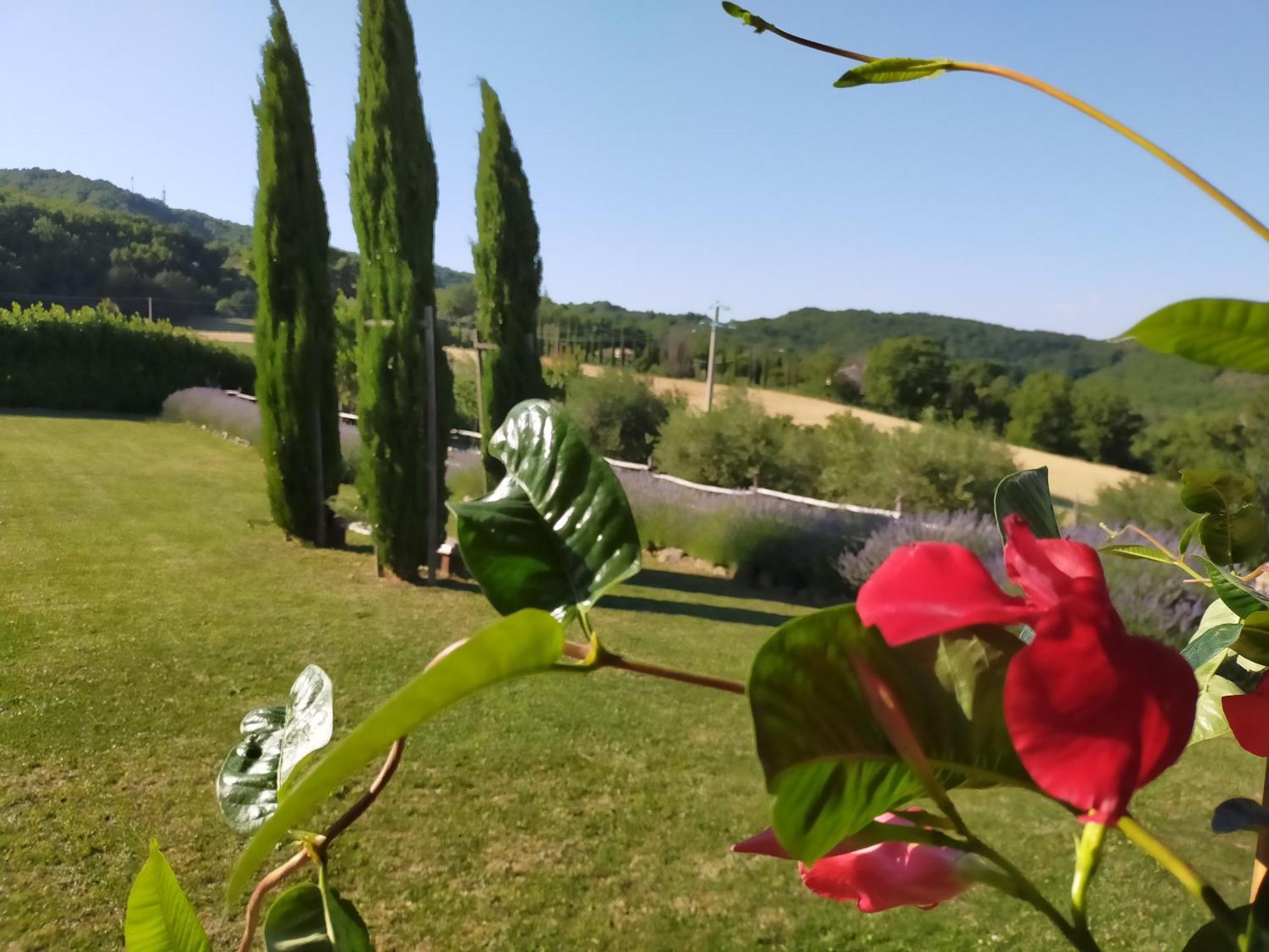 Apartment Suite Assisi